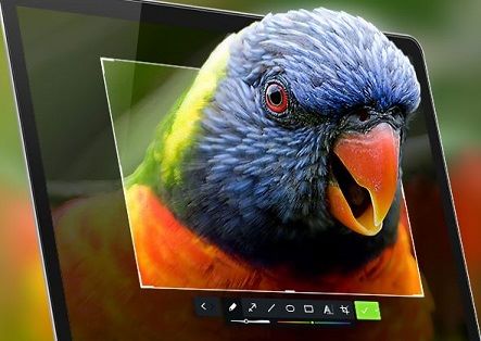 Скачать djvu editor 6 0 pro