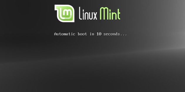 Начало установки Linux Mint