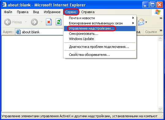 Сервис Internet Explorer