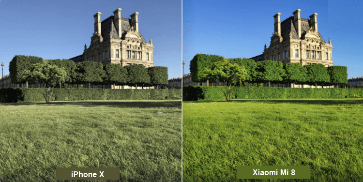 Сравнение фото, сделанных с iPhone X и Xiaomi Mi 8