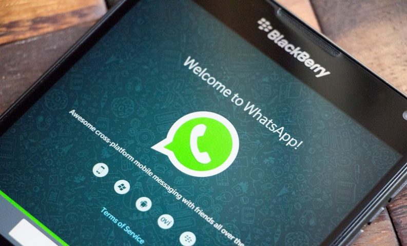 Как добавить контакт в WhatsApp: полное руководство