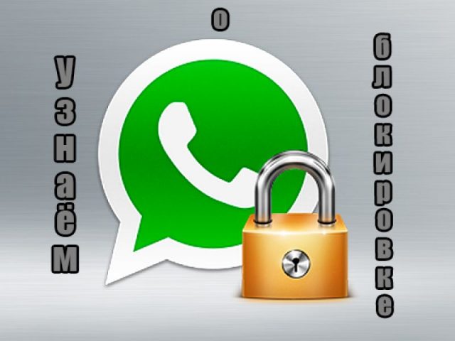 Как узнать, что тебя заблокировали в WhatsApp: способы проверки